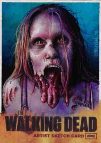 2011 Cryptozoic The Walking Dead Season 1 Sketch 1/1 by J.D. Seeber 